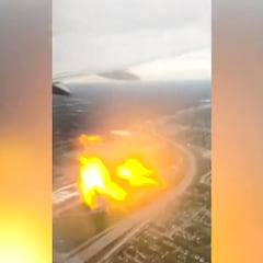 Bird causes engine fire in plane