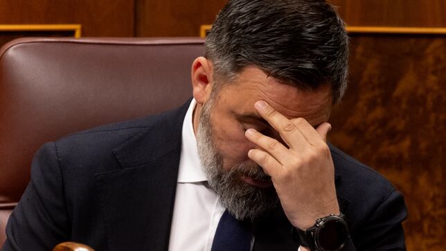 El PSOE estudia tomar medidas legales contra Abascal 