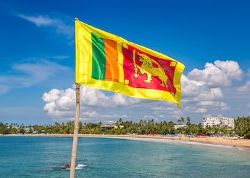 Llamada la Bandera del Le¨®n. Se compone de un le¨®n pasante dorado sosteniendo una espada en su pata delantera derecha, delante de un fondo carmes¨ª, con cuatro hojas doradas de Ficus religiosa, a la izquierda hay 2 franjas verticales de igual tama?o en color azafr¨¢n y en verde. Su tama?o es m¨¢s rectangular de lo convencional.