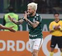 Palmeiras - Cerro Porteño: canal de TV, horario y cómo ver online