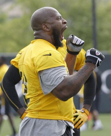 'Silverback': El rey incomprendido (primera entrega)