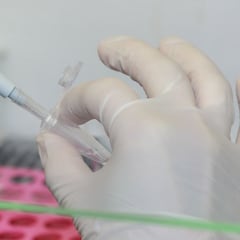 Nueva cepa del coronavirus en Reino Unido: ¿qué sabemos y qué no de la mutación N5017?