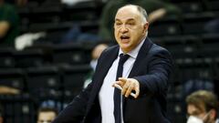 Pablo Laso, durante el partido de la s&eacute;ptima jornada de la Euroliga que ha enfrentado al Zalgiris Kaunas y al Real Madrid