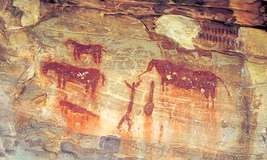 El arco mediterráneo concentra la mayor cantidad de yacimientos de arte rupestre del mundo, con 750 sitios localizados y nos permite entender la vida cotidiana de un periodo fundamental de la evolución cultural de la humanidad; el Epipaleolítico y el Neolítico. La calidad y exclusividad de sus restos dotan al conjunto de una gran importancia.