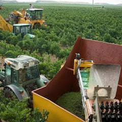 El SEPE oferta más de 28.000 empleos para agosto con sueldos de hasta 100.000 euros anuales