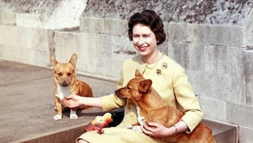 Isabel II y dos de sus perros