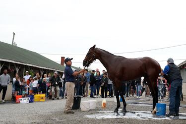 Multitud de espectadores observan el lavado al caballo Journalism.