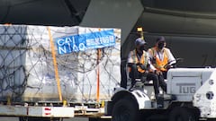 Estudio de combinación de vacunas: objetivos y qué vacunas están incluidas en el estudio