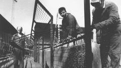 Nacen juntos el alambrado
y el gol olímpico (1924)