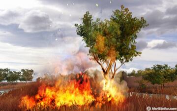 Captura de pantalla - fcry2_pc_tree_on_fire_01.jpg