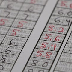 Cómo descargar la boleta de calificaciones SEP 2024: guía paso a paso