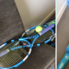 Un tenista se monta un efecto dominó en su habitación ante la desesperación de la cuarentena