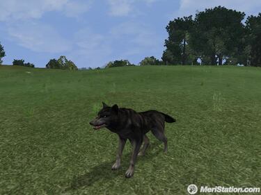 Conseguir nuevos usuarios para Dark Age of Camelot será recompensado