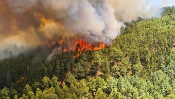 Guadalajara declara emergencia atmosférica: ¿Cuáles son las medidas y en qué colonias se activó?