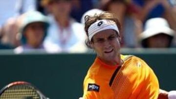 <b>David Ferrer</b>.