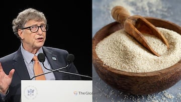 Bill Gates señala al fonio como el alimento que acabará con el hambre