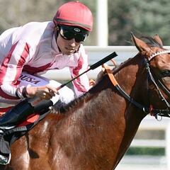 'Presidency' se incorpora a la lista de los mejores sprinters