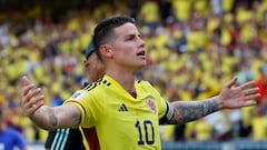 Selección Colombia ya está en Medellín y Chunga se unirá al grupo