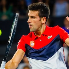Djokovic, galardonado en Serbia por su contribución al país