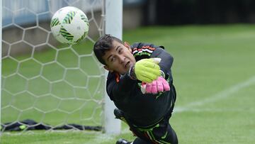 Raúl Gudiño borrado con el APOEL Nicosia