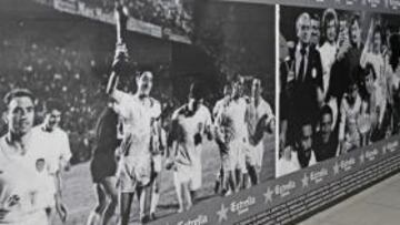 <b>LEYENDAS BLANQUINEGRAS. </b>El Valencia estrenará ante el Madrid una nueva decoración en el túnel.