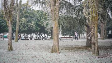 Nevadas leves en Vitoria.