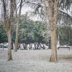 No peligra el Alavés-Mallorca por la nieve