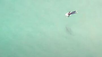 Un tibur&oacute;n se acerca a un surfista que rema sobre su tabla de surf en aguas cristalinas en Bondi Beach (S&iacute;dney, Australia), el 1 de febrero del 2021.