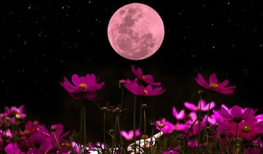 Luna Llena de mayo 2024: ¿cuándo es y a qué hora ver la Luna Flores desde México?