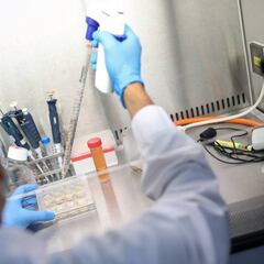 ¿Cómo es el spray nasal contra el Coronavirus que Argentina probará?