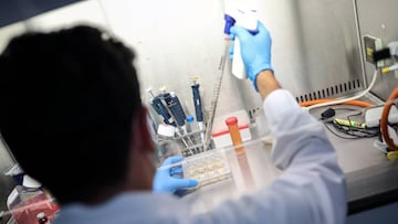 A scientist works on cells that produce antibodies against the coronavirus disease (COVID-19), in a university lab in Athens, Greece, July 8, 2020. Picture taken July 8, 2020. REUTERS/Alkis Konstantinidis