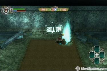 Rune Factory Frontier, Impresiones