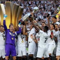 Varios candidatos en busca de la corona de Botafogo