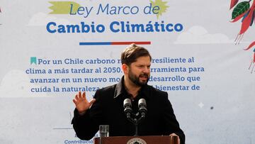 Día del Medio Ambiente | Qué dijo Boric y qué reacciones ha provocado