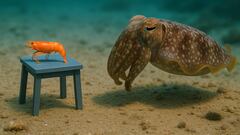 Smarter than some kids? Scientists shocked as this fish easily passes a test designed for children