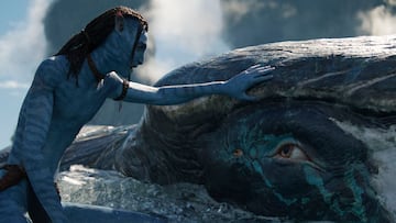 Fans of Avatar have waited a long time for the sequel to James Cameron’s visually stunning world. After 13 years Pandora is back even more spectacular.