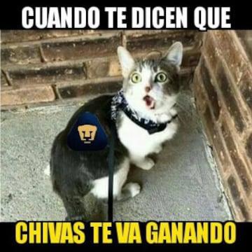 Chivas mantiene su paternidad sobre Pumas y los memes aplauden