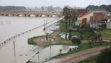 El río Guadalete desborda sus márgenes a su paso por la zona de Las Pachecas en Jerez de la Frontera (Cádiz) provocando importantes inundaciones. A 4 de febrero de 2026, en Algeciras, Cádiz (Andalucía, España). La Agencia Estatal de Meteorología (Aemet) ha activado hasta las 15.00 horas de este miércoles 4 de febrero aviso de nivel rojo --peligro extraordinario-- en la comarca gaditana del Campo de Gibraltar por lluvias que pueden dejar hasta 120 litros por metro cuadrado en 12 horas, especialmente en el entorno del municipio de Algeciras. En todo el litoral de Cádiz hay además activos avisos de nivel naranja por fenómenos costeros y fuertes vientos.
04 FEBRERO 2026
Rocío Ruz / Europa Press
04/02/2026