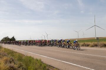 El pelotón durante la decimosegunda etapa de La Vuelta que se disputa entre Ólvega y Zaragoza de 151 km de recorrido.