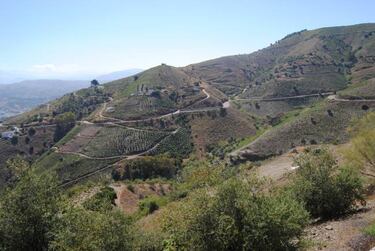 De ruta en bici por la Axarqu¨ªa malague?a: Ruta de la Pasa (II)