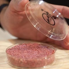 Nestlé fabricará carne cultivada en laboratorio
