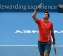 Del Potro accede a semifinales