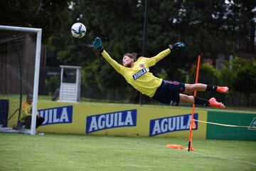 Las dirigidas por Carlos Paniagua iniciaron sus entrenamientos en la Sede Deportiva de la Federación Colombiana de Fútbol en Bogotá.