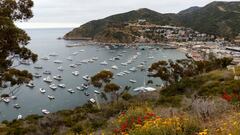 Plane crash on Catalina Island: authorities confirm several deaths