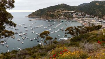 Plane crash in Catalina Island: authorities confirm several deaths