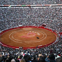Suspenden corridas de Toros gracias a amparo: qué pasará con las próximas fechas
