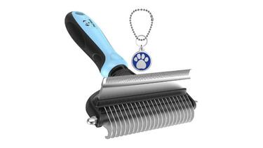 Reunimos 10 accesorios para perros que harán sus cuidados más sencillos y prácticos