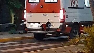 Una perra se sube al parachoques de una ambulancia para acompañar a su dueño