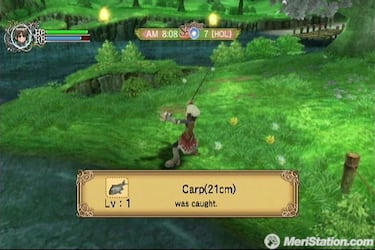 Rune Factory Frontier, Impresiones