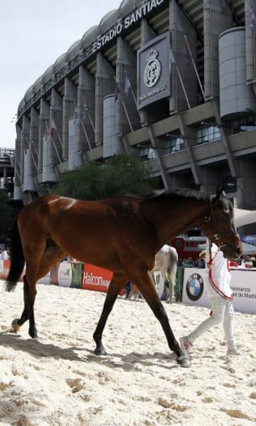 Las carreras de caballos regresan a la Castellana